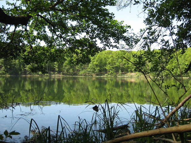 Jezioro Kociołek WPN