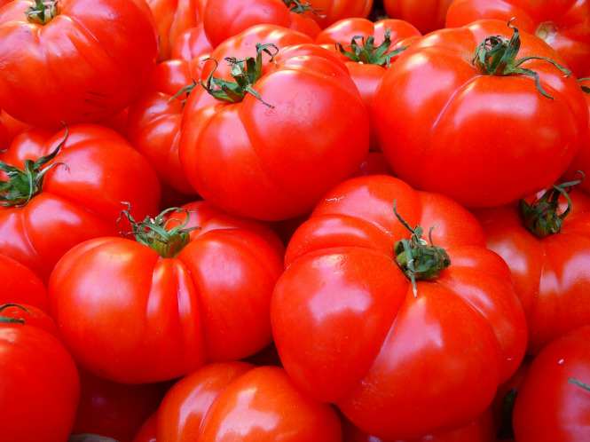 Pomidory - Polskie rolnictwo radzi sobie bez Rosji