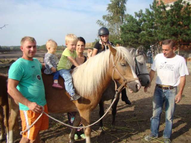 Rodzina Odważnych konie