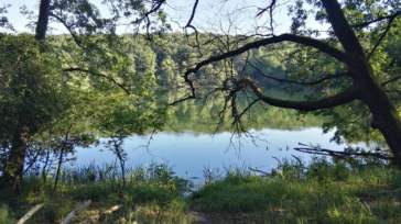 Jezioro Kociołek w Wielkopolskim Parku Narodowym
