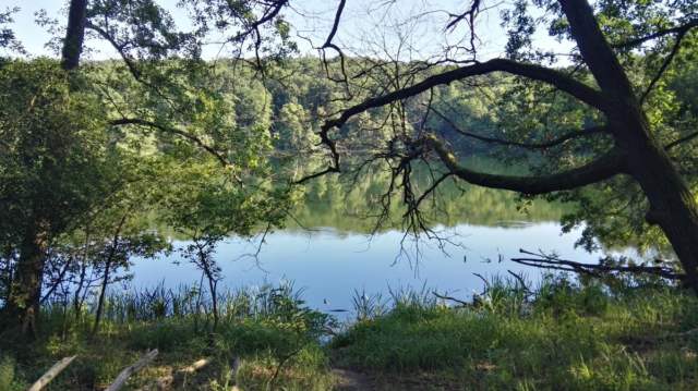 Jezioro Kociołek w Wielkopolskim Parku Narodowym