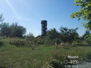 wieża widokowa w Mosinie na Pożegowie