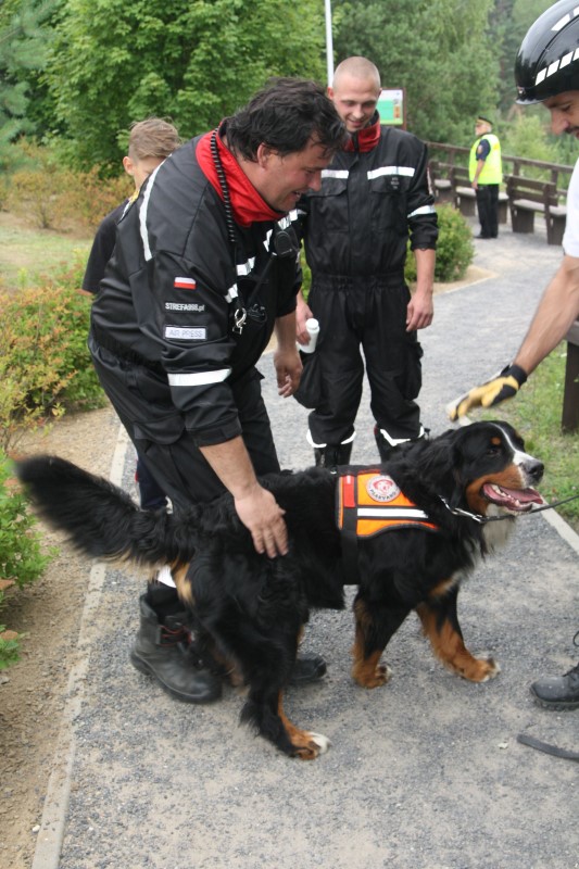 Sekcja Poszukiwawczo Ratownicza Ochotniczej Straży Pożarnej w Mosinie z psem