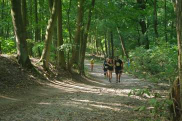 Bieg Forest Run