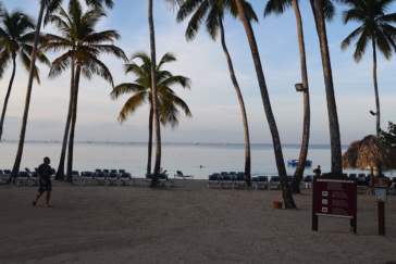 Dominikana - widok na palmy i morze
