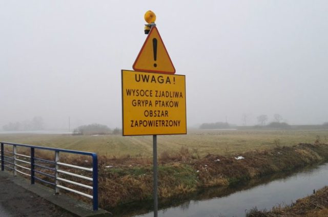 Wysoce zjadliwa grypa ptaków - obszar zapowietrzony - żółta tablica informacyjna (znak ostrzegawczy) na moście nad Kanałem Mosińskim