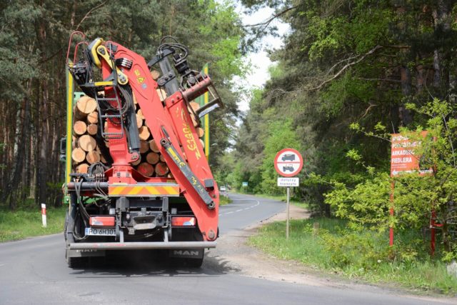 Samochód ciężarowy z ładunkiem drewna w Puszczykowie