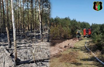 OSP Luboń - pożar lasu w Pecnej