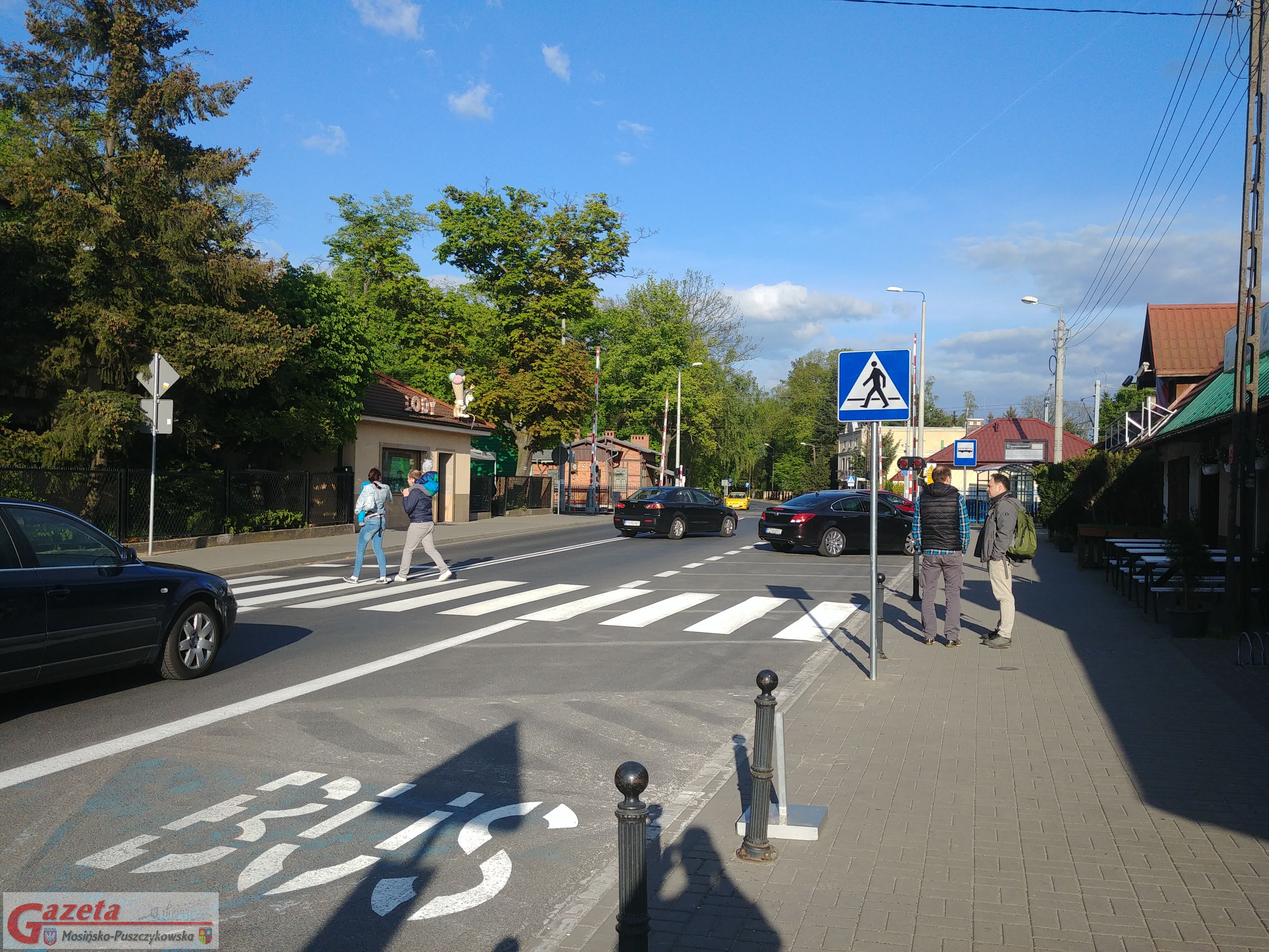 Ulica Dworcowa w Puszczykowie. Policja sprawdza, czy właściciel zachował środki ostrożności przy trzymaniu zwierzęcia (archiwum, zdjęcie symboliczne)