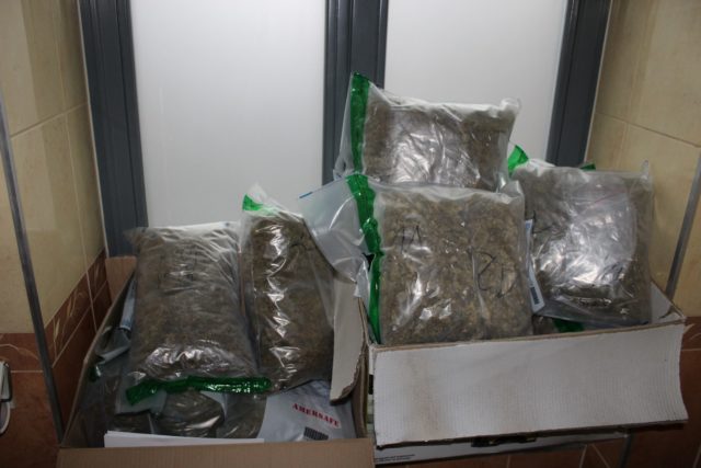 Policjanci zabezpieczyli 176 kilogramów narkotyków