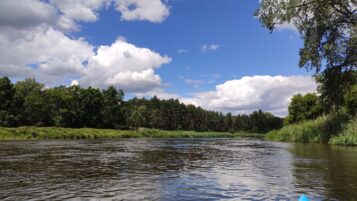 rzeka Warta - rezerwat Krajkowo (Tuchoń)