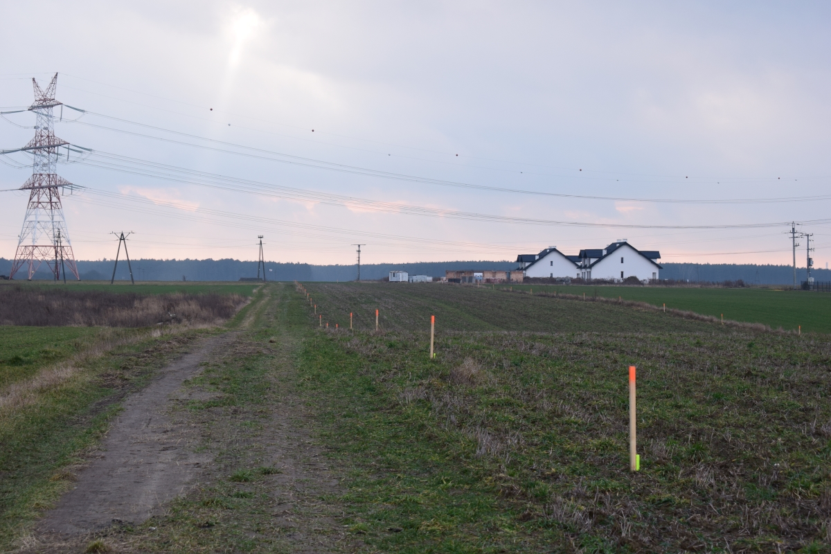 Daszewice, ul. Poznańska