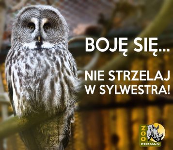 Sylwester - apel Nowego Zoo w Poznaniu