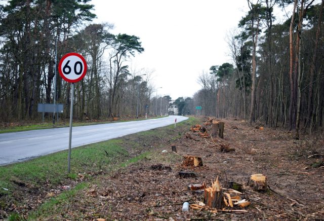 Droga Rogalin - Mieczewo po wycince drzew związanej z remontem