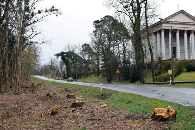 Droga Rogalin - Mieczewo po wycince (w tle Kościół św. Marcelina w Rogalinie)