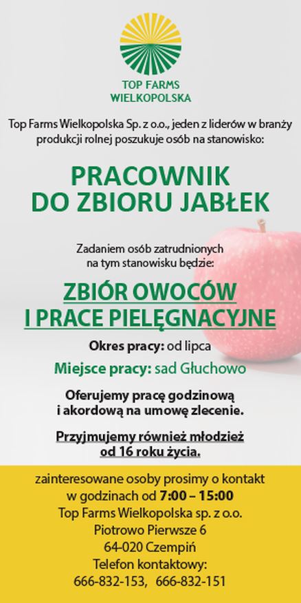 Top Farms - praca do zbioru owoców w Głuchowie