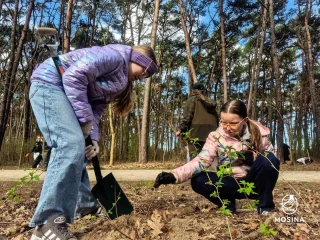 Sadzenie drzew w Parku Strzelnica w Mosinie – w akcji wzięli udział mieszkańcy i uczniowie.