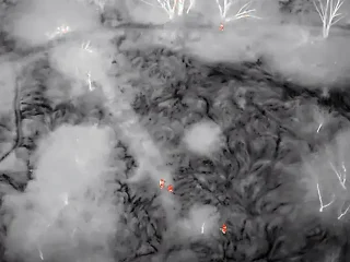 Ujęcie z drona z kamerą termowizyjną wykorzystanego podczas akcji poszukiwawczej w Parku Puchalskiego w Śremie