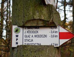 Wielkopolski Park Narodowy - tabliczka z oznaczeniem szlaków