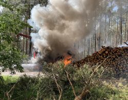 Pożar samochodu ciężarowego w lesie w pobliżu Żabna